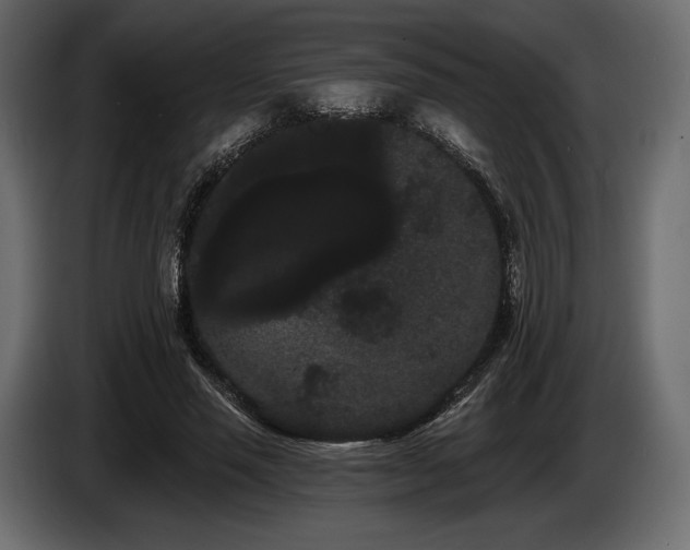 X0000085040637200703051352