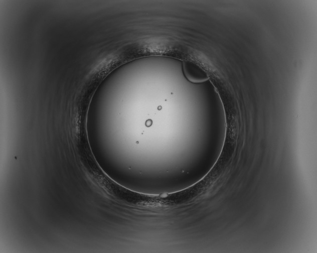 X0000085040639200703051352