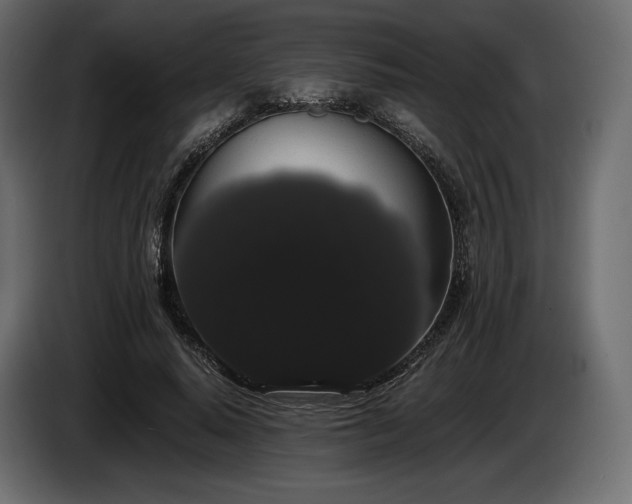 X0000085040640200703051352