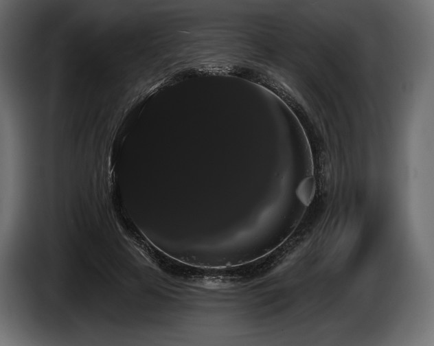 X0000085040641200703051352
