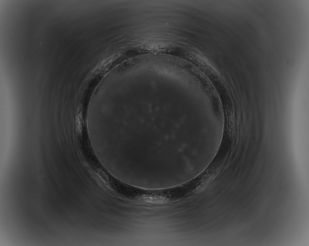 X0000085040644200703051352