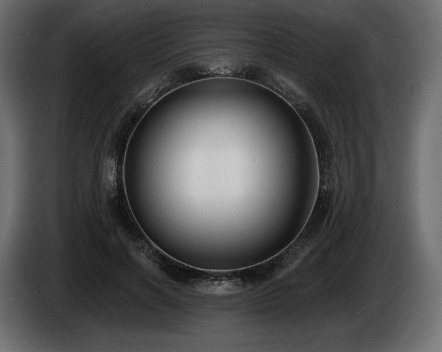 X0000085040646200703051352