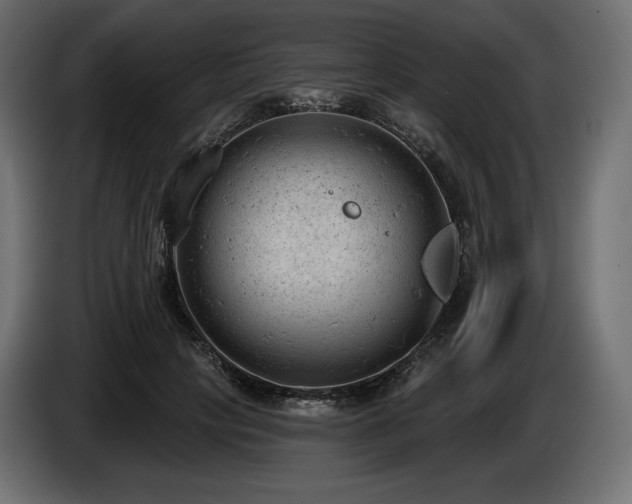 X0000085040649200703051352
