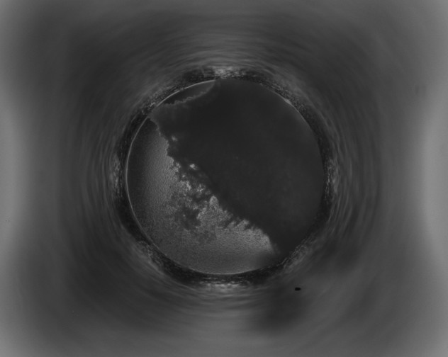 X0000085040650200703051352