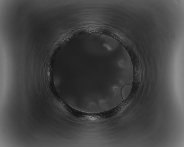 X0000085040654200703051352