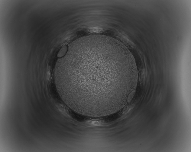X0000085040655200703051352