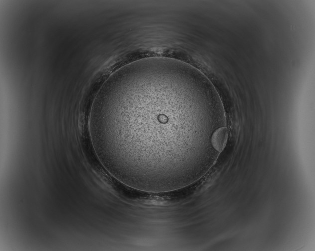X0000085040656200703051352