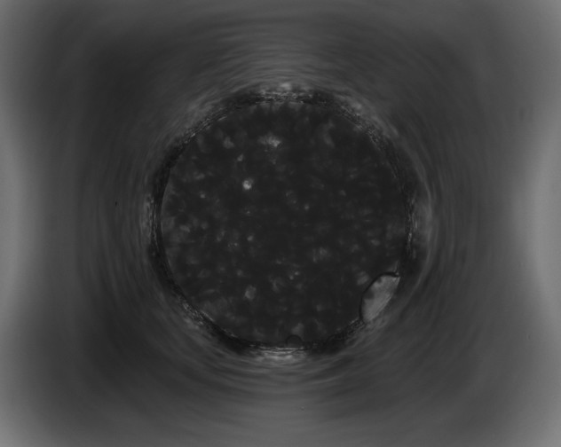 X0000085040659200703051352