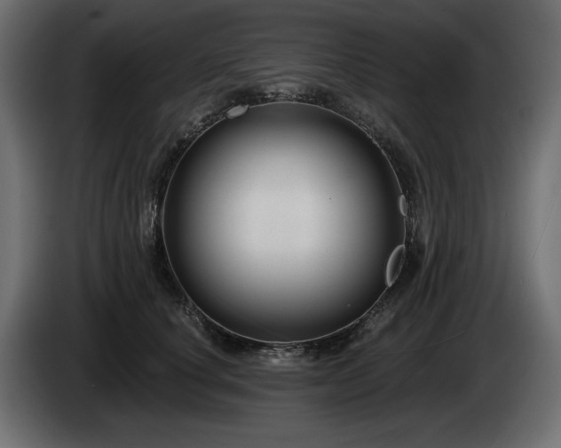 X0000085040660200703051352