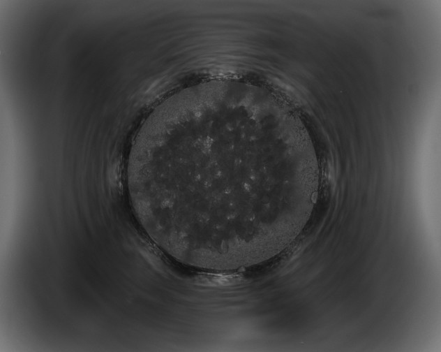 X0000085040663200703051352
