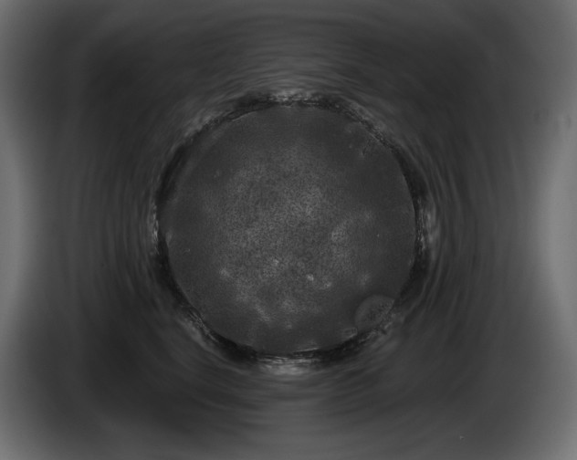 X0000085040664200703051352