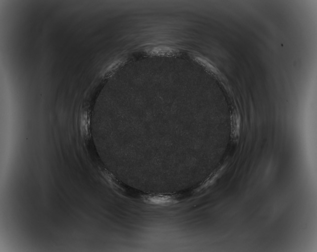 X0000085040669200703051352