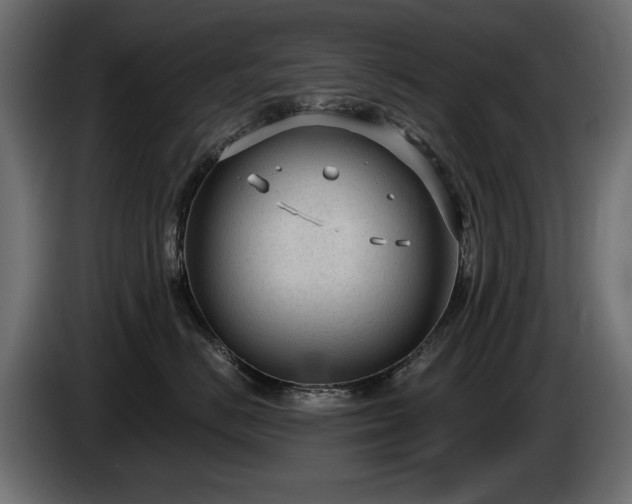 X0000085040670200703051352