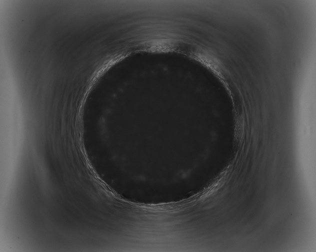 X0000085040673200703051352