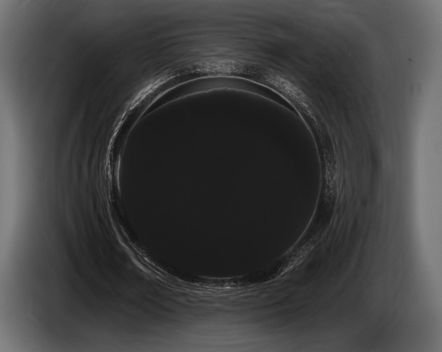 X0000085040674200703051352