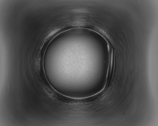X0000085040675200703051352
