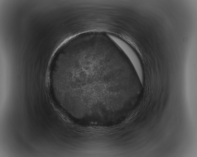 X0000085040676200703051352