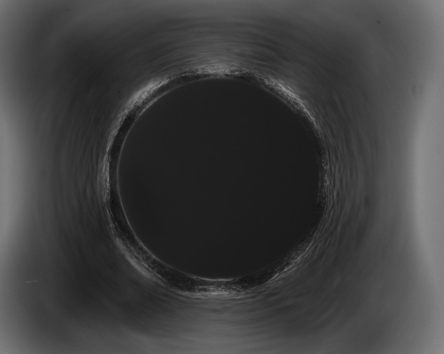 X0000085040678200703051352