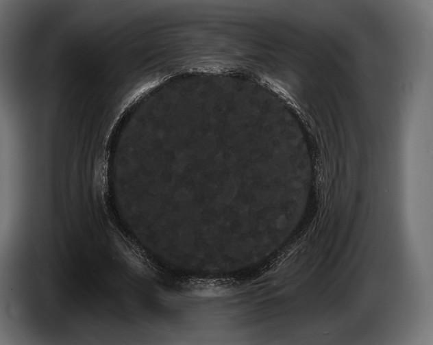 X0000085040679200703051352