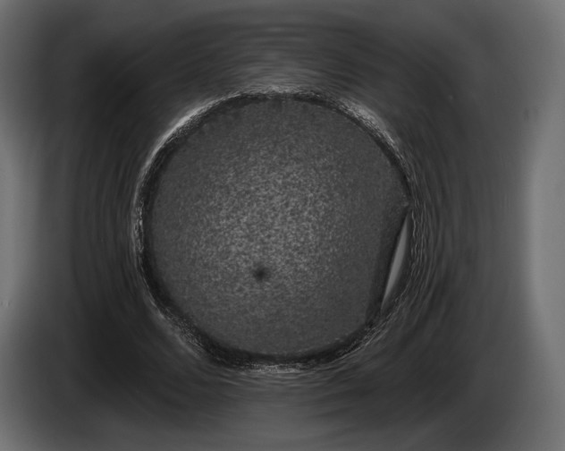 X0000085040680200703051352