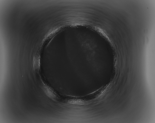 X0000085040685200703051351