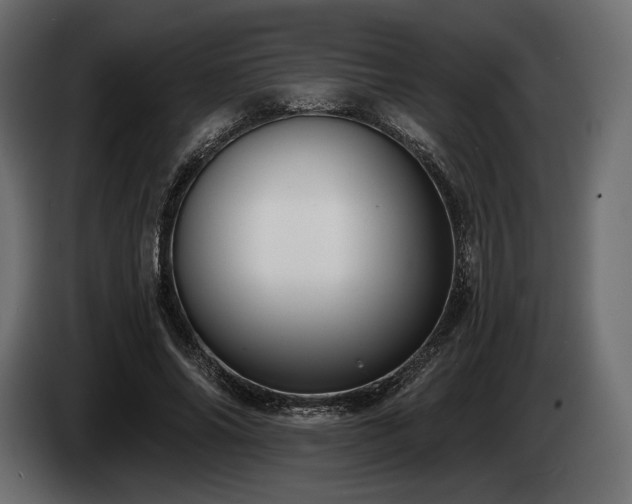 X0000085040686200703051351