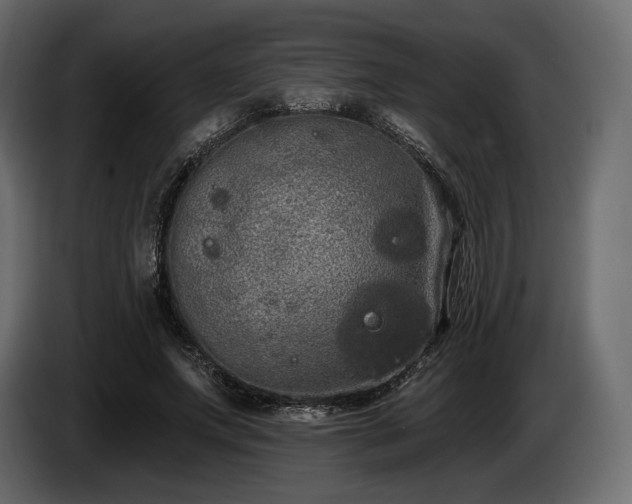 X0000085040687200703051351