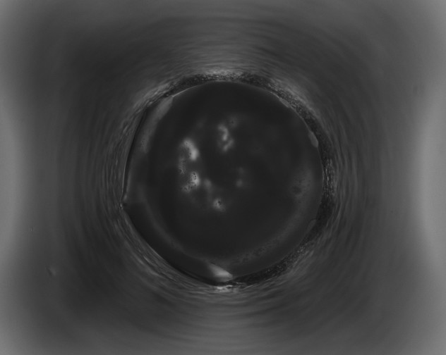 X0000085040692200703051351