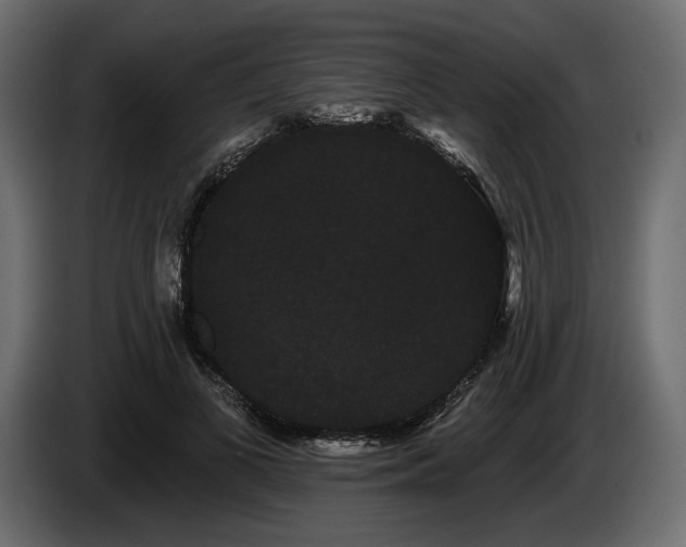 X0000085040693200703051351