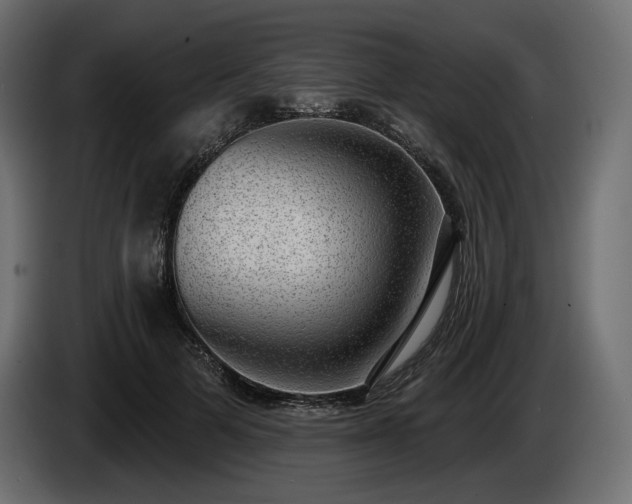 X0000085040697200703051351