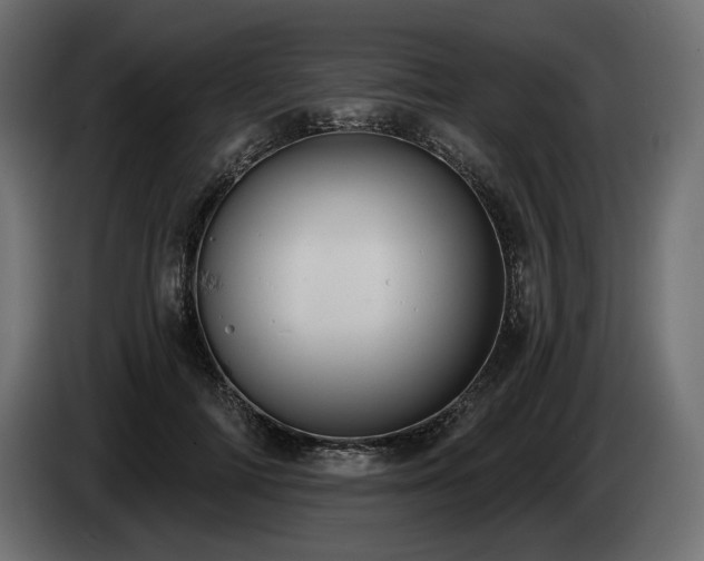 X0000085040698200703051351