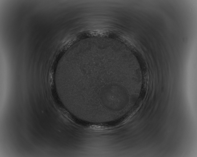 X0000085040699200703051351