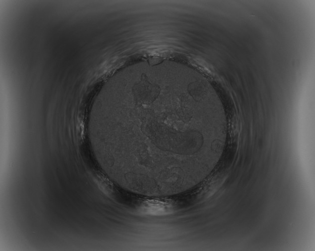 X0000085040703200703051351