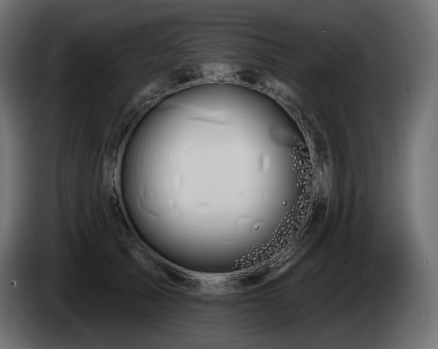 X0000085040705200703051351