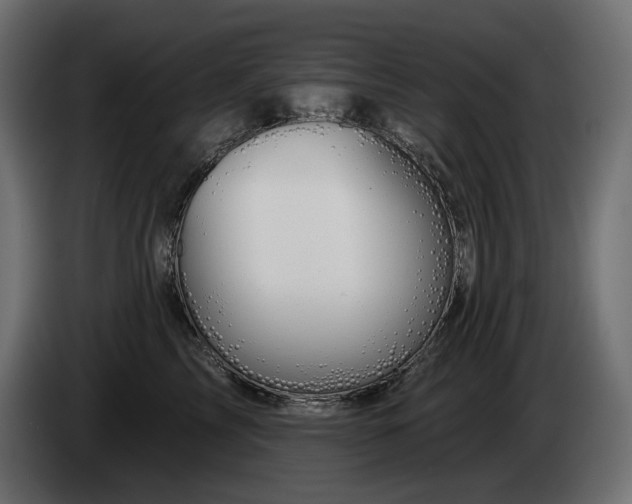 X0000085040713200703051351