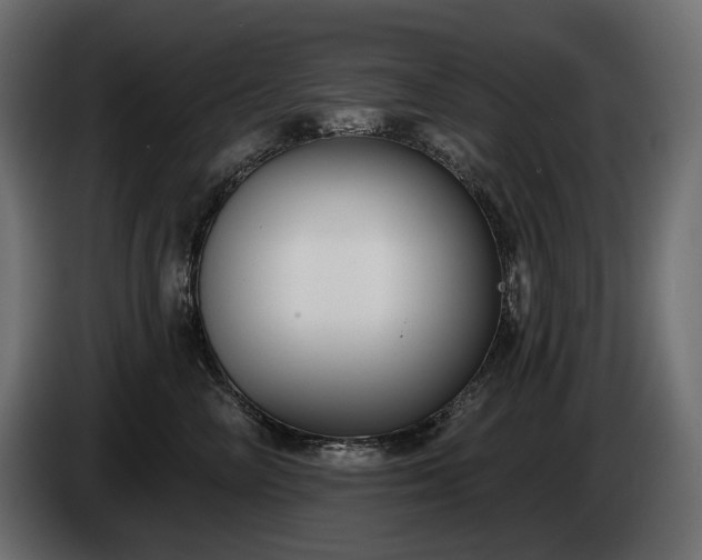 X0000085040714200703051351