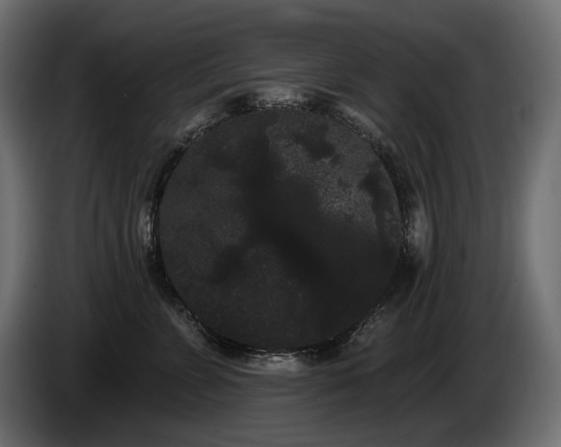 X0000085040715200703051351