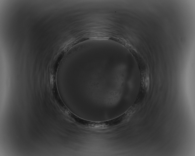 X0000085040716200703051351