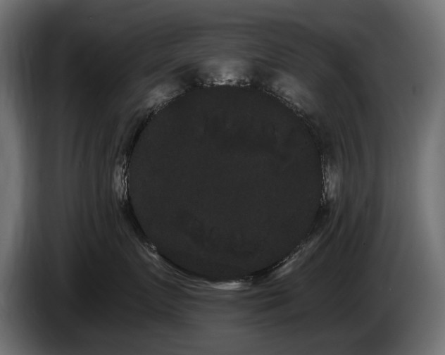 X0000085040719200703051351