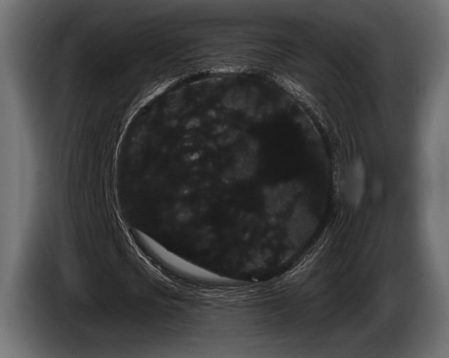 X0000085040721200703051350