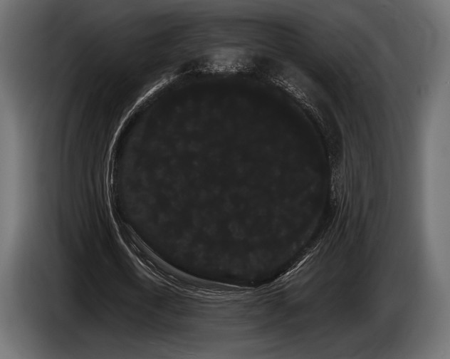 X0000085040722200703051350