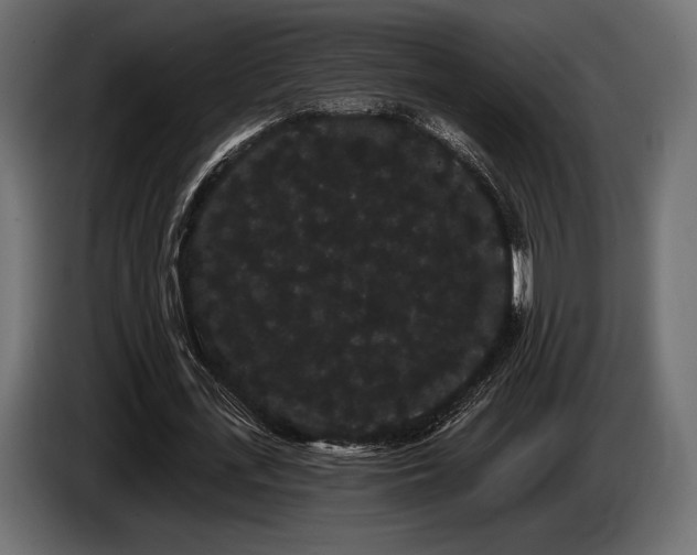 X0000085040723200703051350