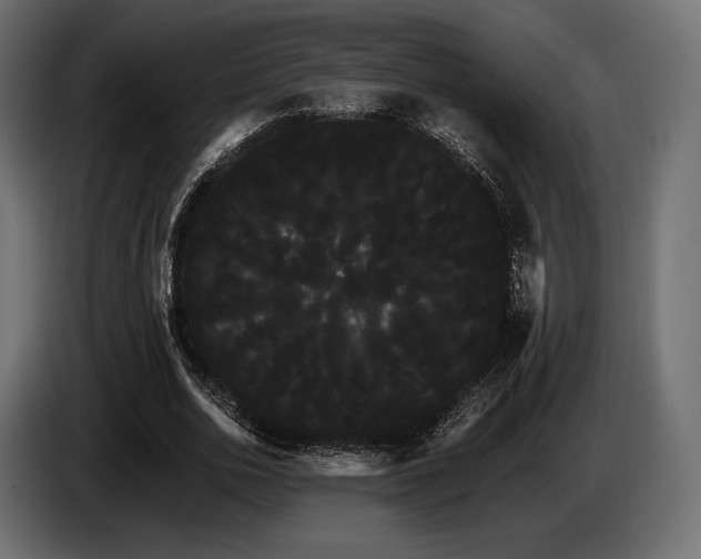 X0000085040726200703051350