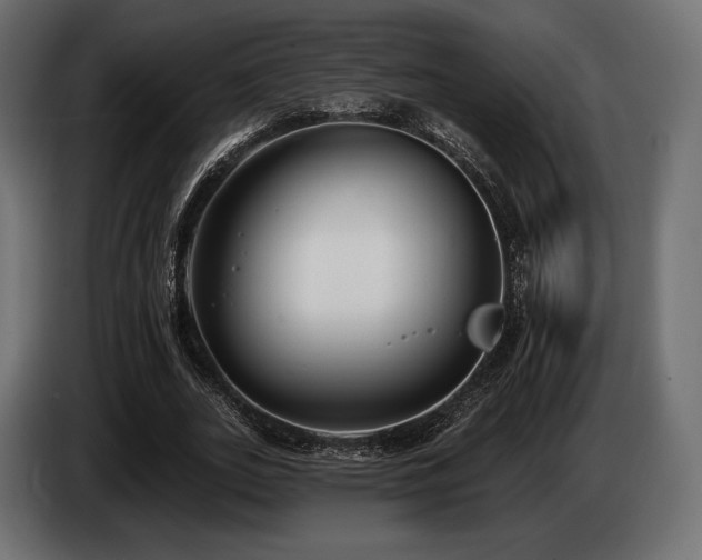 X0000085040727200703051350