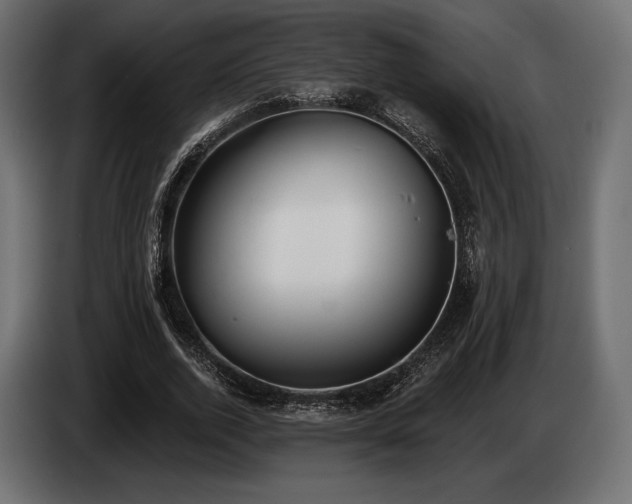 X0000085040728200703051350