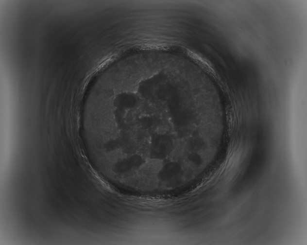 X0000085040729200703051350