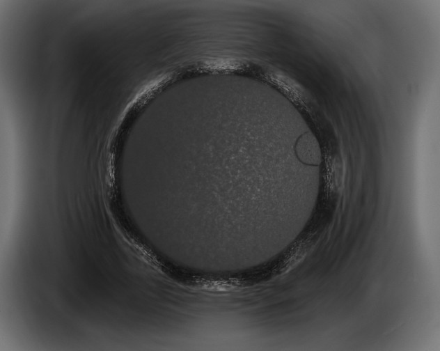 X0000085040731200703051350