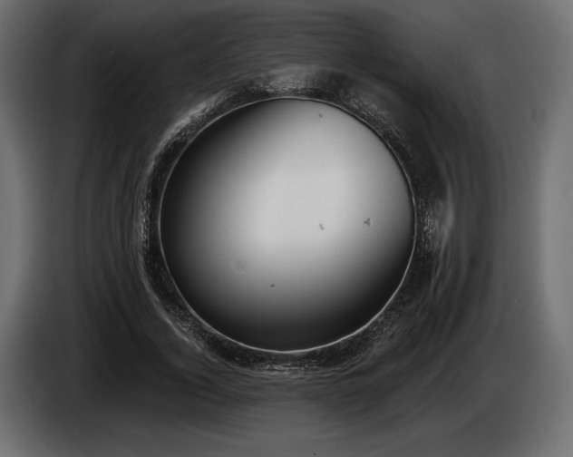 X0000085040732200703051350