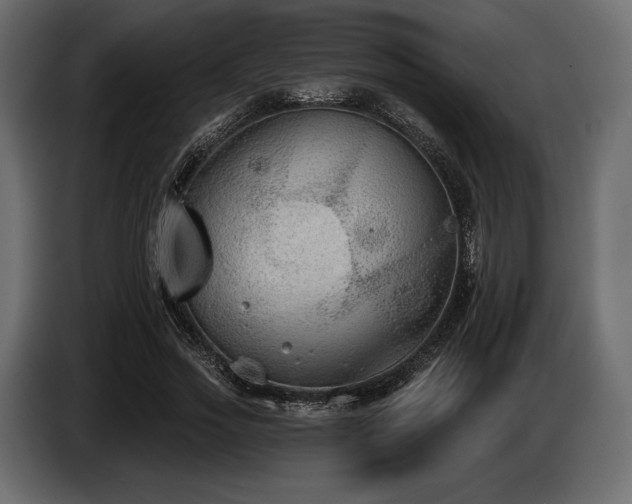 X0000085040733200703051350