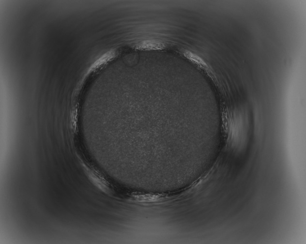 X0000085040735200703051350
